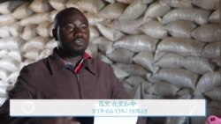 የዓለም የጤና ድርጅት ፖሊዮ ከአፍሪካ ሙሉ ለሙሉ ተወግዷል ብሏል አፍሪካውያን ምን ይላሉ?