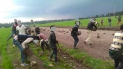 Oromiyaa Keessatti Hiriirri Mormii Gaggeefame Jedhu Jiraatonni