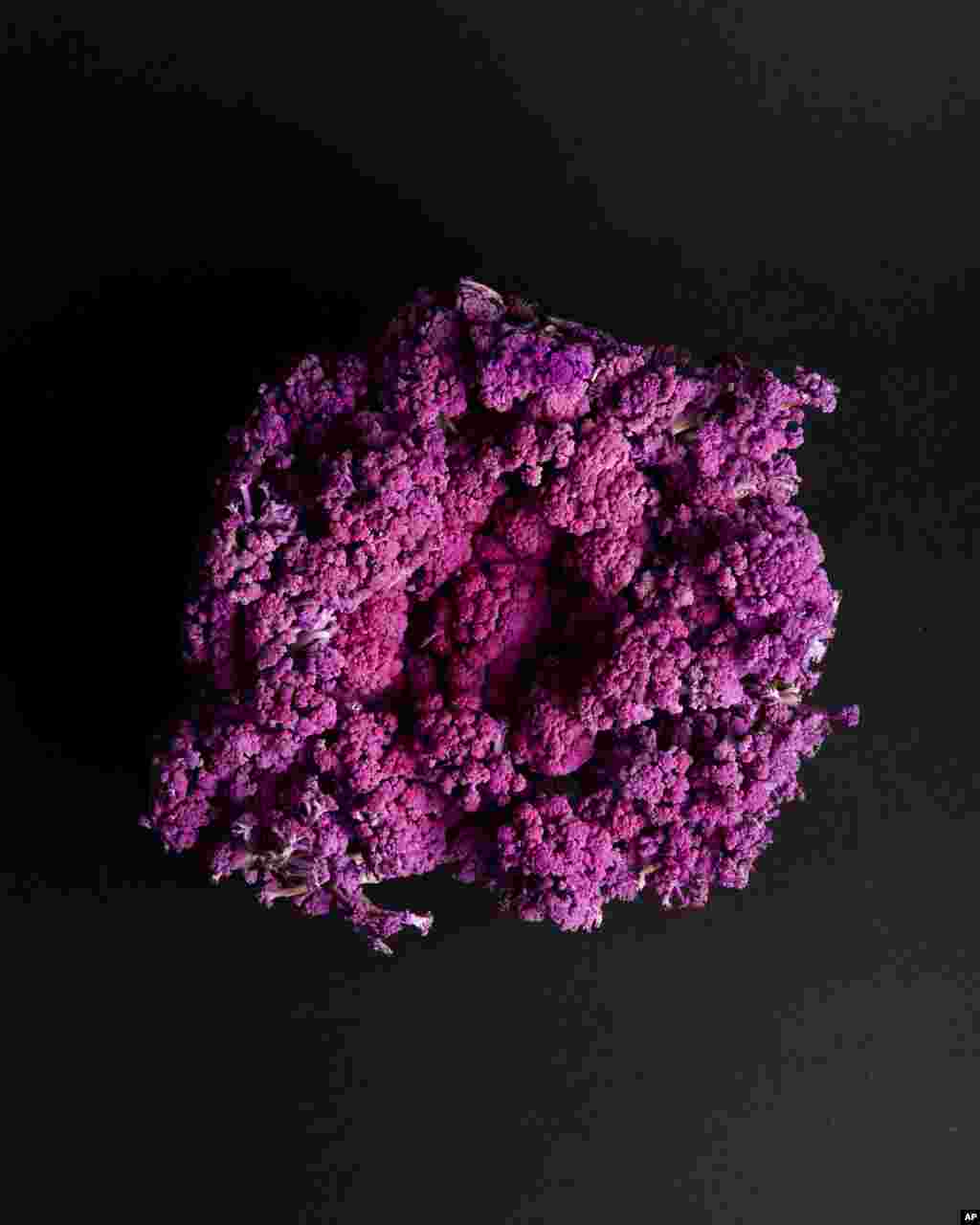 Gardening-Select New Plants