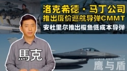 【鹰与盾】洛克希德·马丁公司推出廉价巡航导弹CMMT | 安杜里尔推出梭鱼低成本导弹