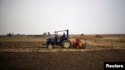 Grupu zaražnih čine uglavnom farmeri i tvornički radnici u provincijama Henan i Shandong, na sjeveroistoku Kine.
