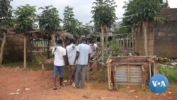 Nigeria's Ginger Farmers Enjoy Pandemic Boon 