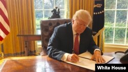 عکس از آرشیو