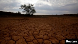 Tanah yang pecah-pecah karena kekeringan di Karoo Afrika Selatan (Foto: dok). Namun penemuan atas kristal kecil yang terperangkap dalam sebuah berlian kasar, yang terlempar dari 400 kilometer di bawah permukaan bumi, mengisyaratkan kemungkinan ada banyak air jauh di dalam bumi.