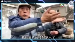 【美国热搜】中国男光棍的危机；给美团缴社保算笔账；外卖平台为何这时来给骑手上社保；特朗普出台备忘录限制中国在美投资；挪用公款给哪吒2“升国旗”；领导视察妨碍民众出行；荒诞视频