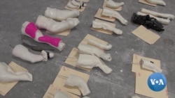 英语视频：矫正器帮助动物重新行走