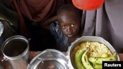 Բազմաթիվ զոհեր Եգիպտոսում՝ խռովությունների հետևանքով