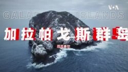 心碎太平洋：中国渔船，捕光我们的鱼，污染我们的家