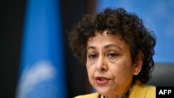 ፎቶ ፋይል፦ የተባበሩት መንግስታት ድርጅት መርማሪ አይሬን ካሃን