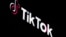 资料照片：TikTok的标志。