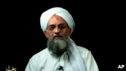 Al-Qaida Zawahri