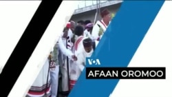 Tamsaasa Guyaadhaa Guyyaa