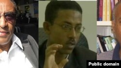 አቶ ብርሃነ መዋ፣ አቶ አበባው አያሌው እና ፕሮፌሰር መሳይ ከበደ