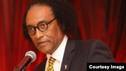 ፕሮፌሰር ዓለማየሁ ገብረማሪያም የኢትዮጵያውያን ተራድዖ ባለ አደራ የአማካሪ ቦርዱን ሊቀ መንበር