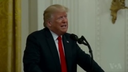 Pireezdaant Traampi fi Miidiyaa