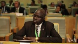 ደቡብ ሱዳን: ተቀናቐንቲ ወገናት ተኹሲ ደው ንምባል ተሰማሚዖም