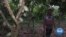 Traditional Cocoa-Exporter Ghana Pushes for More Local Chocolate