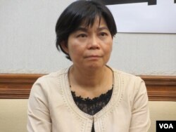执政党国民党立委杨丽环（美国之音张永泰拍摄）