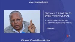 በዶ/ር መረራ ጉዲና ላይ የቀረቡት ምስክሮች የተለያየ ነገር ተናገሩ