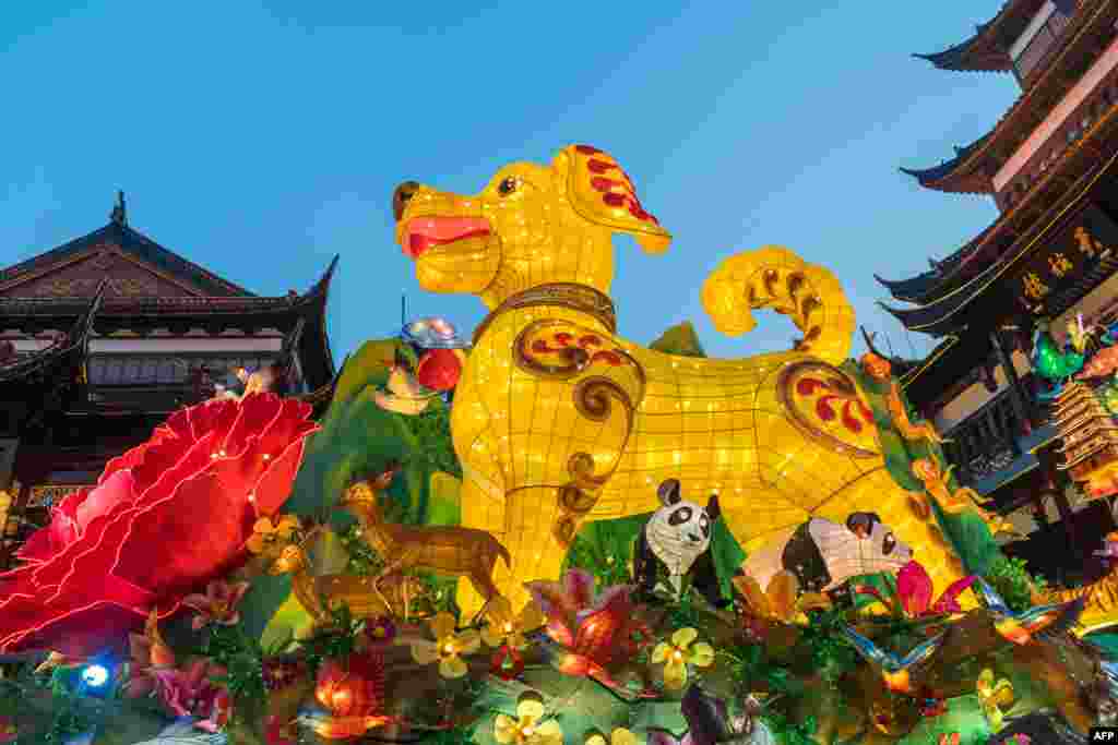 在农历新年之前，上海的豫园展出了9米（29.5英尺）高的狗灯，标志着狗年。今年2月16日是春节，中国的庆祝活动持续一周。（2018年2月5日）