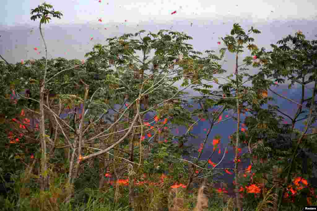 កម្អែល​ភ្លើង​ដែល​ចេញ​ពី​ជាយ​ក្រុង​ Pahoa នៅពេល​ដែល​ភ្នំភ្លើង​ Kilauea ផ្ទុះ​នៅ Hawaii កាលពី​ថ្ងៃទី​១៤ ខែឧសភា ឆ្នាំ​២០១៨។