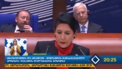 სალომე ზურაბიშვილის გამოსვლის ფრაგმენტი ევროსაბჭოში