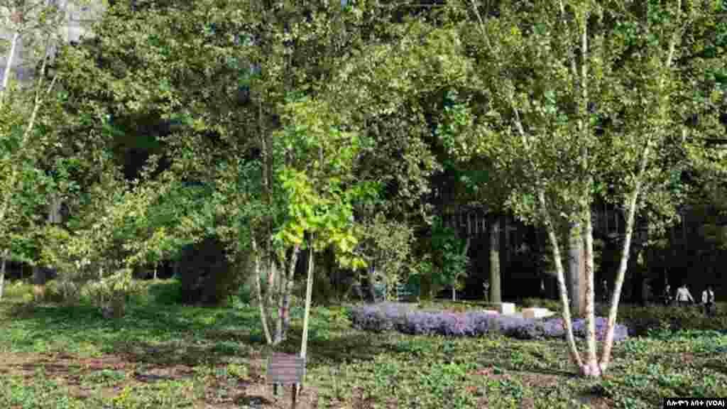 የመንግሥታቱ ድርጅት ሐውልቶች 