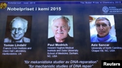 Kimya sahəsində Nobel mükafatı layreatları Tomas Lindahl, Pol Modriç və Əziz Sancar