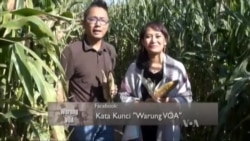 Bertani di Amerika (2)