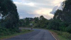 Gujiitti Obboleessi Angawa Bulchaa Godinaa ‘Miseensota WBO’n Ajjeefamuu Poolisiin beeksise