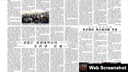 16일 발행된 북한 노동신문 6면. 박근혜 한국 대통령을 비난하는 내용으로 채워져 있다.