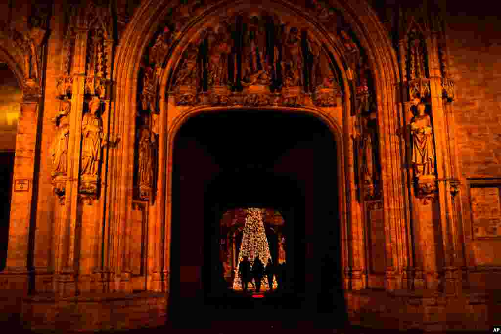 벨기에 브뤼셀의 그랑 플라스 시청 앞에 크리스마스 트리가 설치됐다. 벨기에 당국은 신종 코로나바이러스 2차 확산이 점차 완화되고 있다고 밝혔다. 