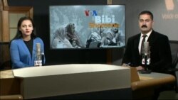 بي بي شیرینه – وي او اې ډيوه په ټیلې ویژن