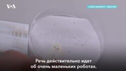 Медицинские микророботы