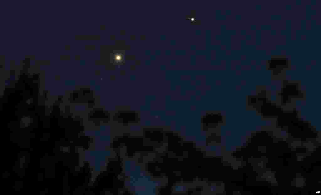 The planets Venus, left, and Jupiter, right, with three of its moons visible, appear close to each other in the sky above tree branches after dusk Wednesday, July 1, 2015, in Tacoma, Wash.