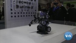 Robots of 2019 Just Want to Help