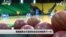美国国家女子篮球协会在非洲培养下一代
