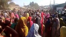 Manni Murtii Masalaa Namoota 13 Irratti Hidhaa Waggaa 11 fi Adabbi Maallaqaa Mure