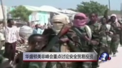 华盛顿美非峰会重点讨论安全贸易投资