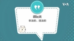 学个词 - illicit