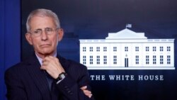 Doctor Anthony Fauci, director of the National Institute of Allergy and Infectious Diseases, is seen at the White House, in Washington, April 1, 2020. The National Bobblehead Hall of Fame and Museum is creating a bobblehead of Fauci.