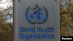 Faayilii - Waajjira Dhaabbata Fayyaa Addunyaa, Jenevaa, Siwiizerlaand