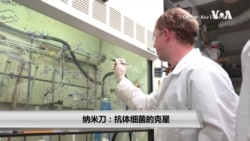 纳米刀：抗体细菌的克星