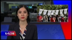 周末专辑 完整版（2018年6月30日）