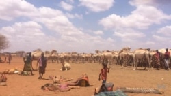 የኢትዮጵያ ሶማሌ ክልል ድርቅ በአሜሪካ ባለሥልጣናት ተጎበኘ