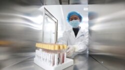 位于云南昆明的中国华大基因集团实验室的科技人员在工作。（2018年12月26日）