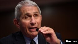 美国国立过敏与传染病研究院主任弗契在参议院卫生、教育、劳工和退休金委员会的听证会上作证。（2020年6月30日）