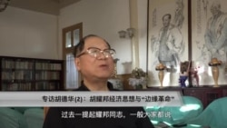 专访胡德华(2)：胡耀邦经济思想与“边缘革命”