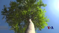 拉斯维加斯人用各种方式帮助这座城市疗伤