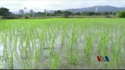 解决中国土壤污染问题任重道远